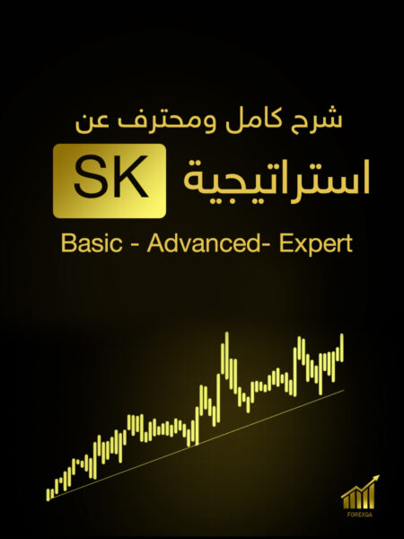 شرح كامل و محترف عن استراتيجية SK